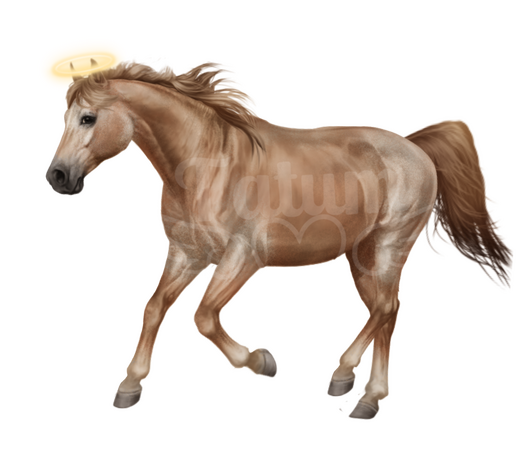 Recolor of my BP's now deceased horse