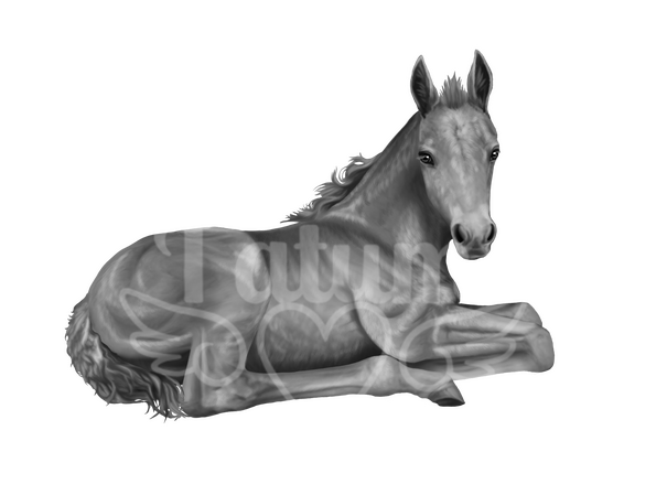 NOT AVAILABLE FOR RECOLORS